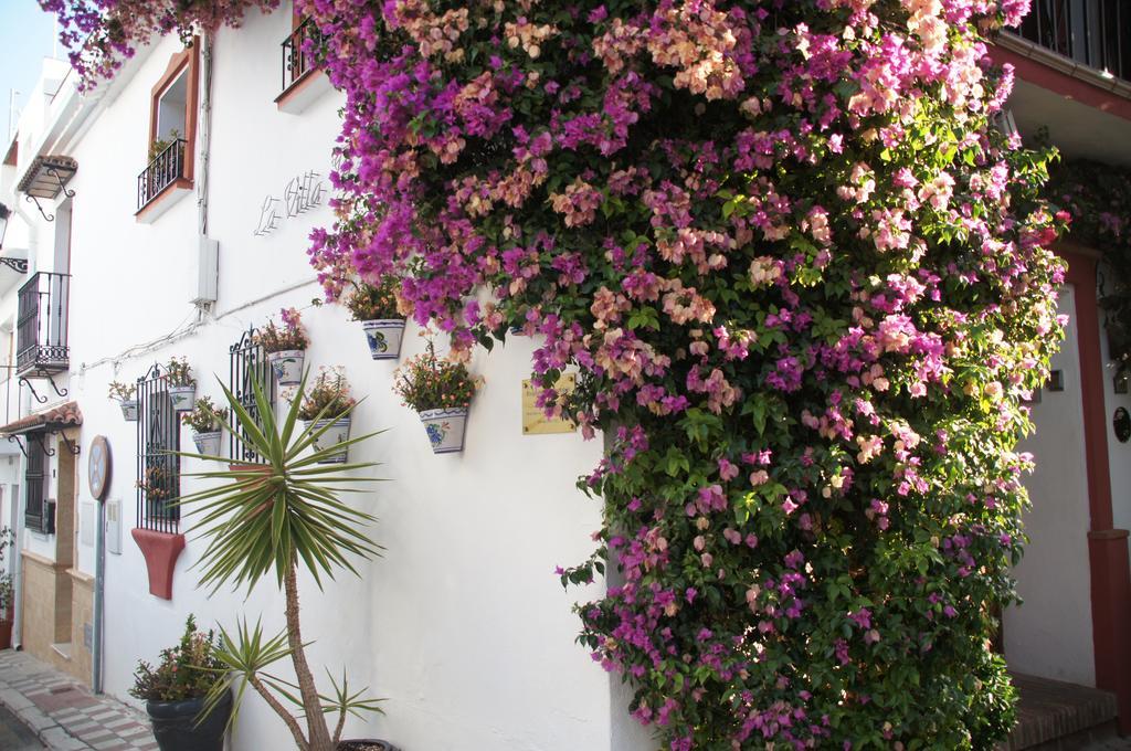 Apartment Elviria